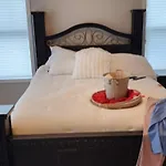 Spacious 8 Family Friend House